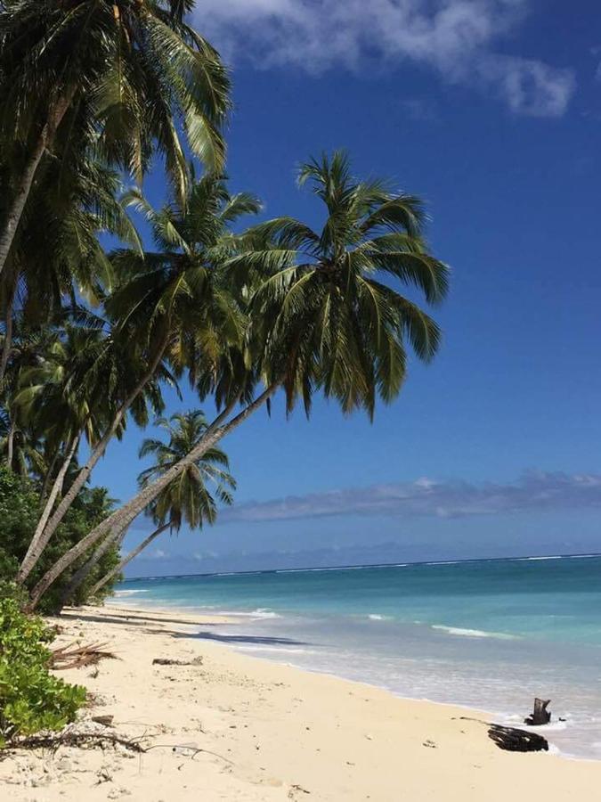 Arthur Homestay Telescope Mentawai Tua Pejat Zewnętrze zdjęcie